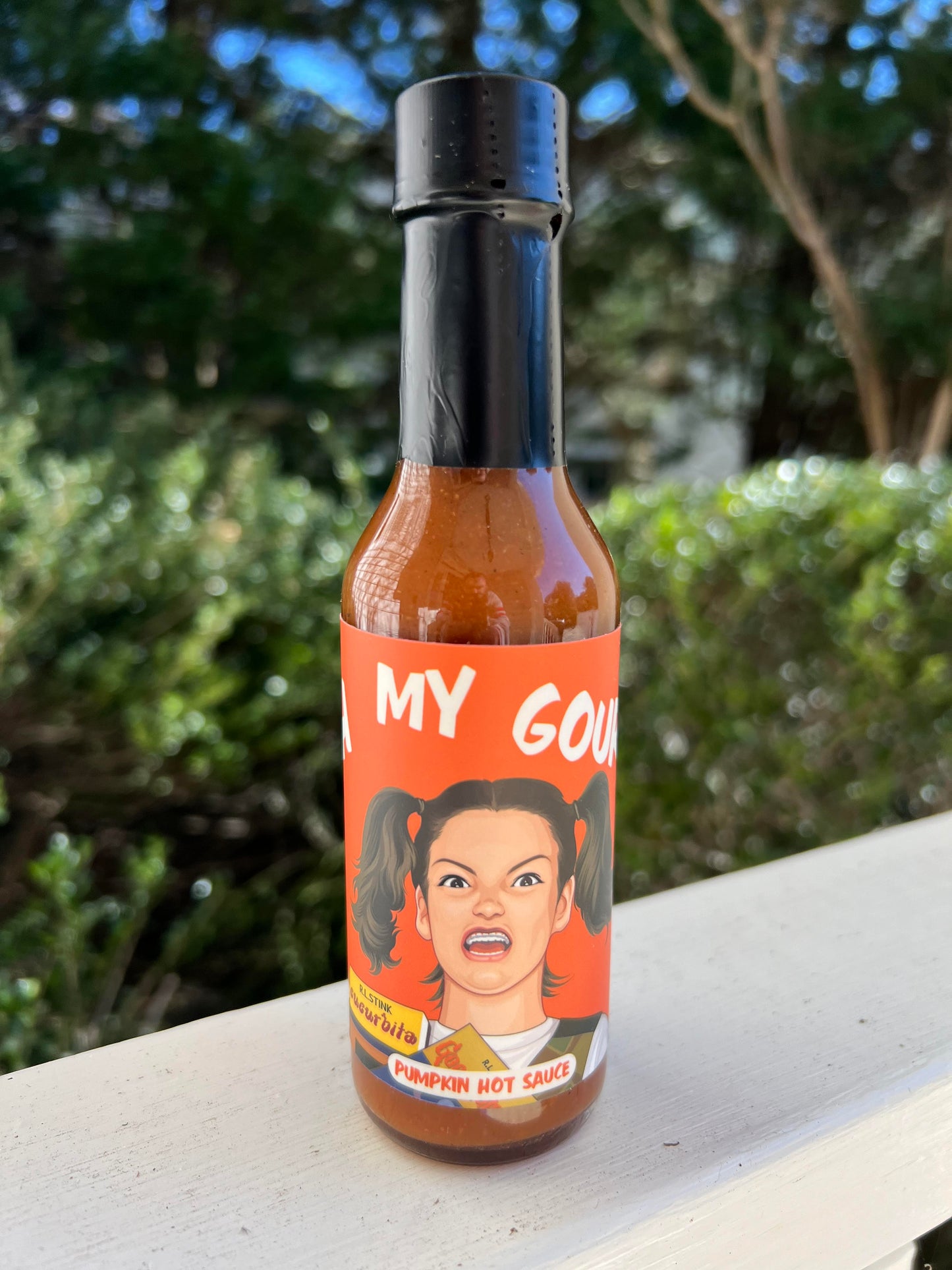 Oh My Gourd Pumpkin Hot Sauce, Perfect as a party favor or  Stocking Stuffer for the Holidays. Meme hot sauce.