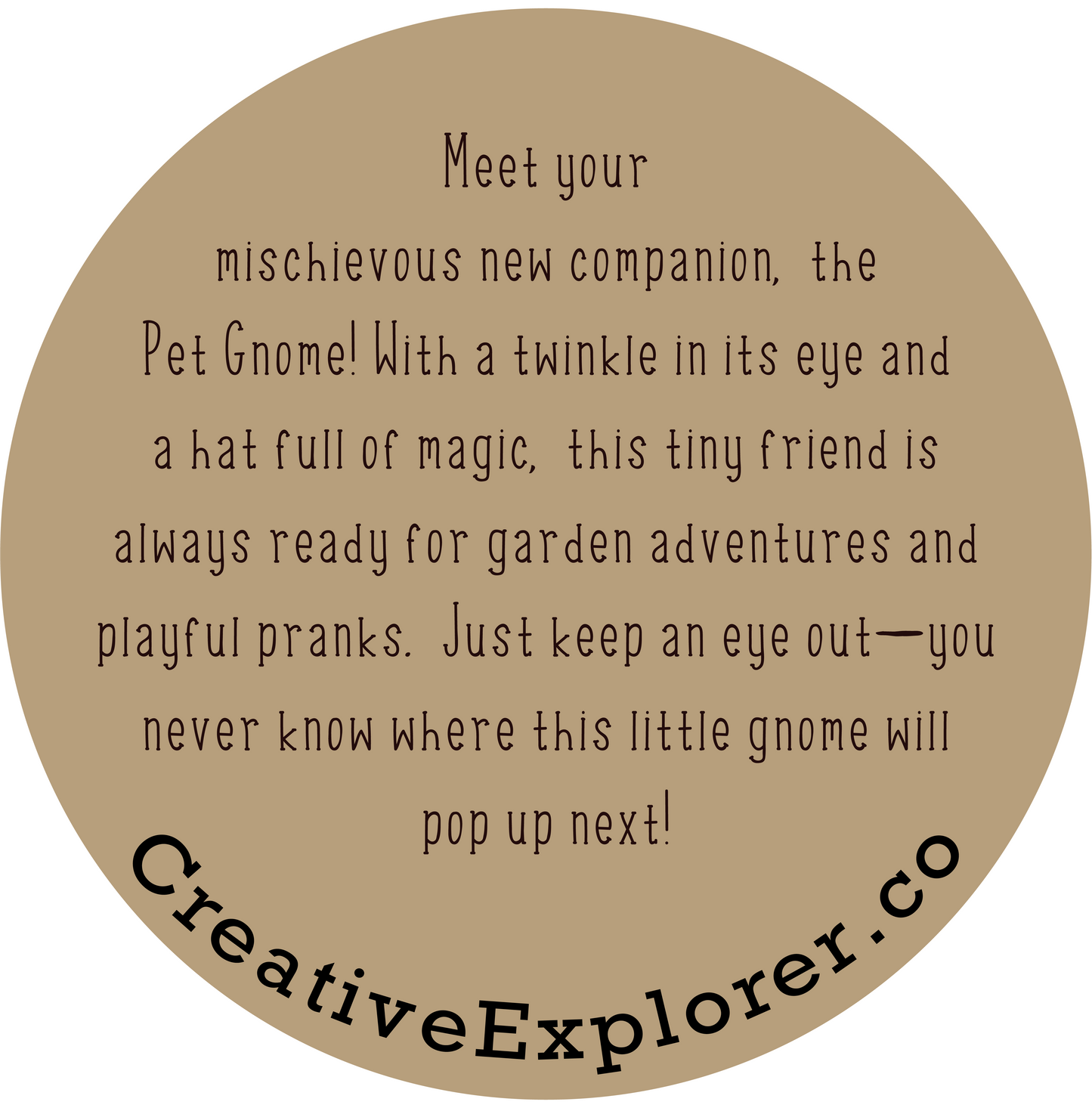 Pet Gnome in a Jar - Whimsical Fantasy Toy - Quirky Garden Gnome Collectible - Fun Desk Decor and Stocking Stuffer