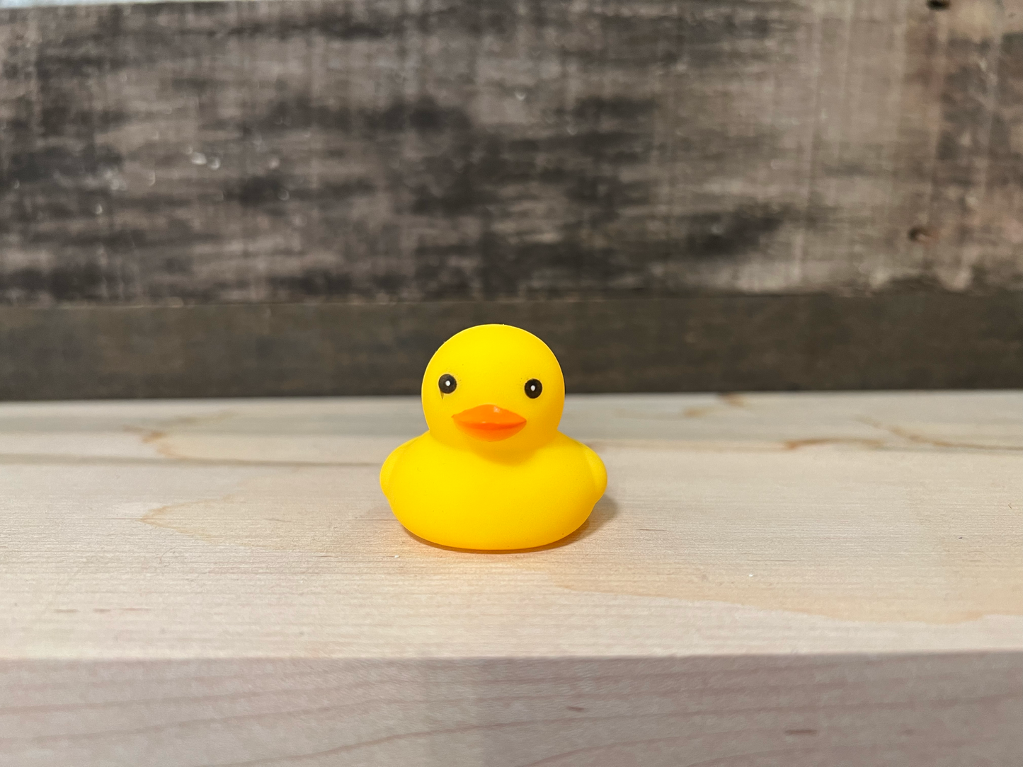 Pet Rubber Duck in a Jar - Quirky Rubber Duck Collectible - Fun Bath Toy and Stocking Stuffer - Cute Gift for Duck Lovers